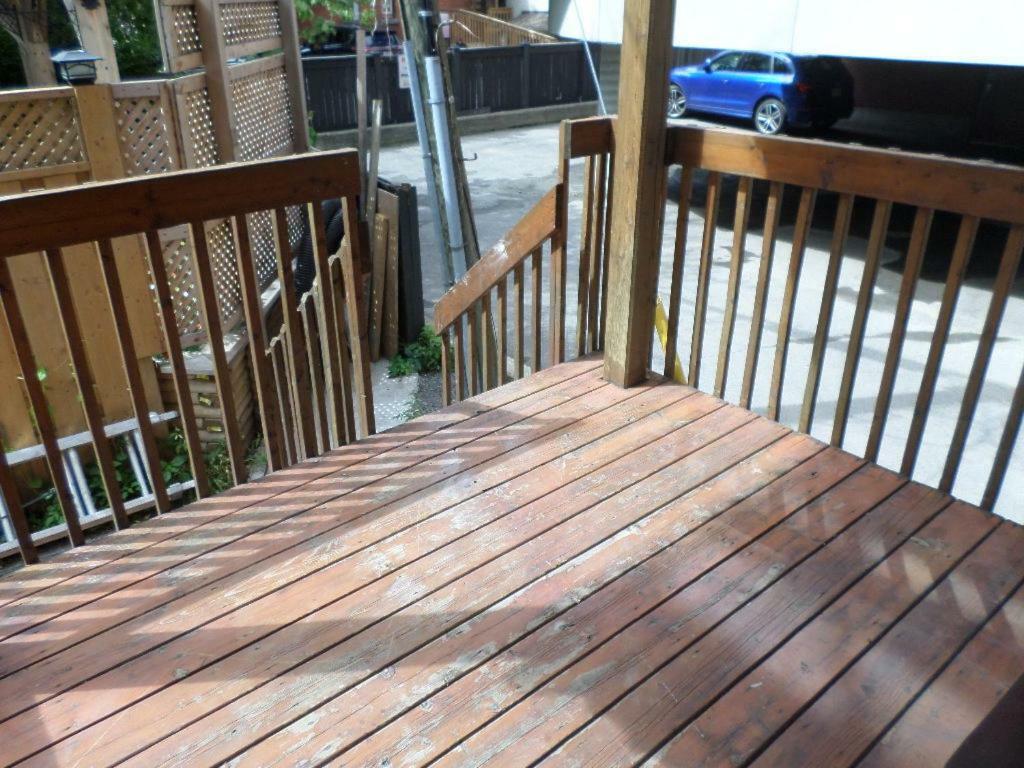 Beautiful, Clean, Quiet 2 Br-In Downtown Ottawa. Parking, Wifi And Netflix Included Leilighet Eksteriør bilde